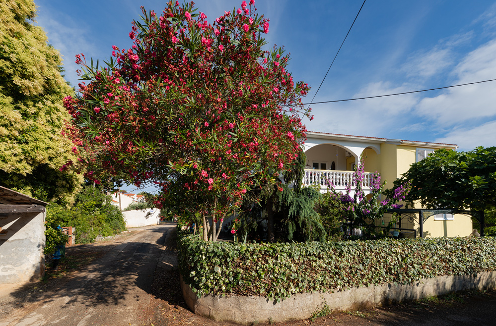 Exterior of our house in Sušica